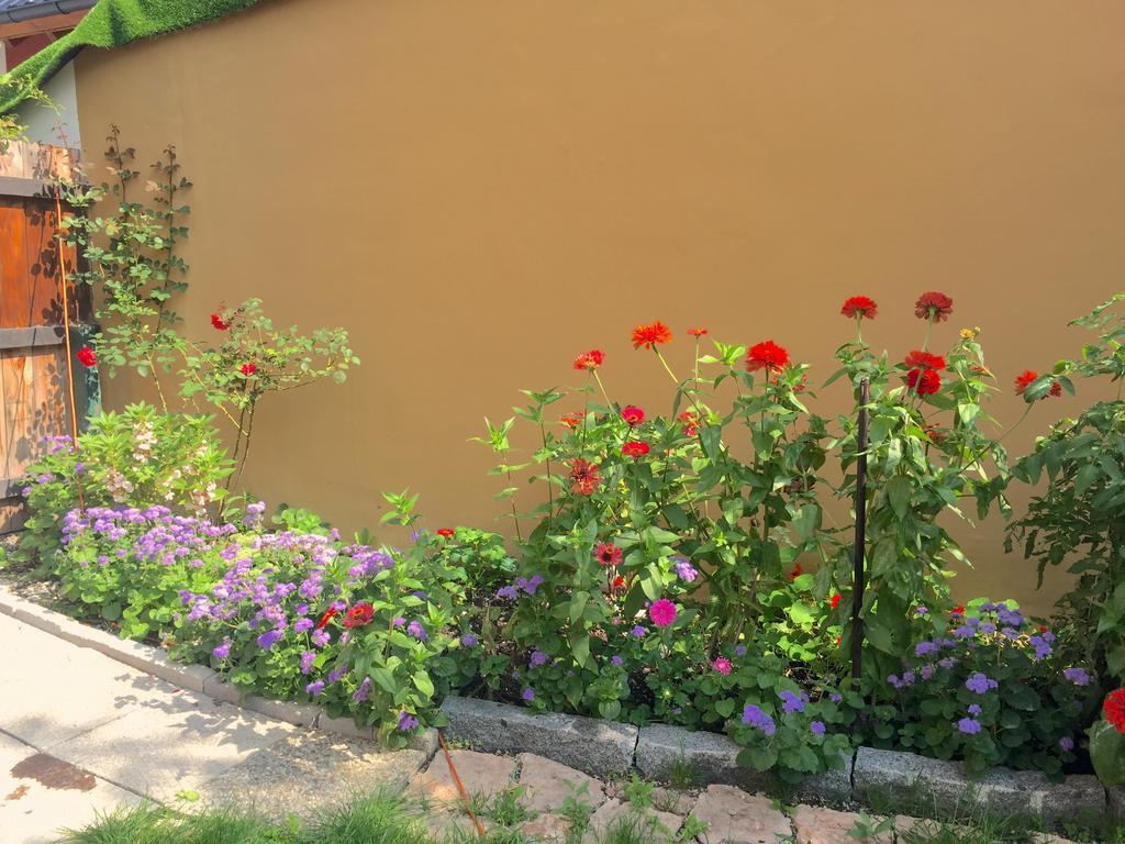 Book-A-Room Salzburg Apartment 5-6-7-8 Bagian luar foto